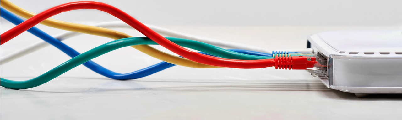 Colourful ethernet cables