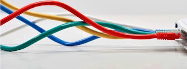 Colourful ethernet cables