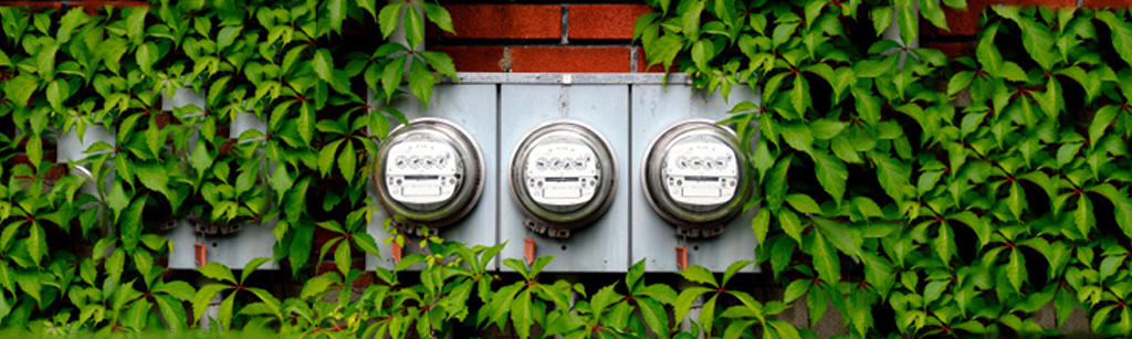 Gas and electricity meter in a garden
