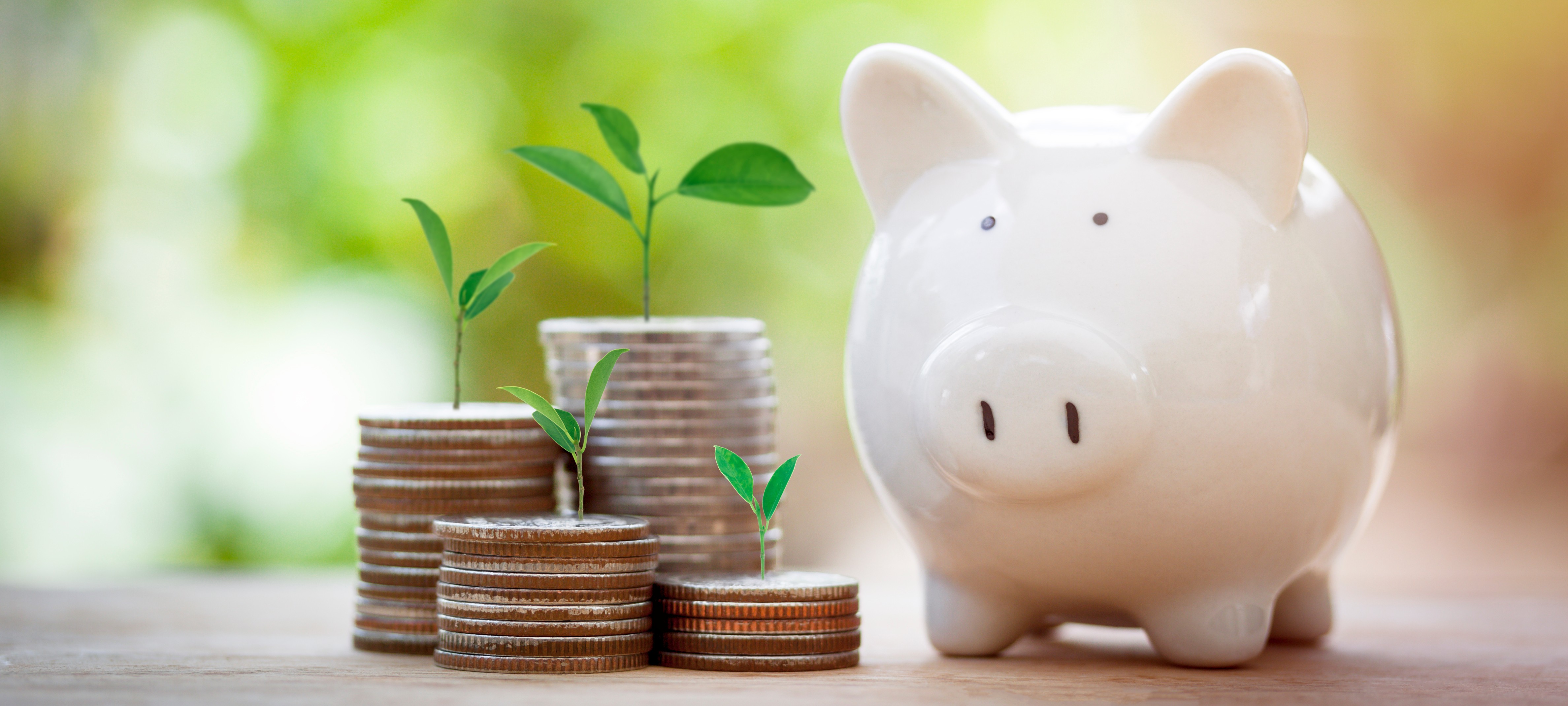 SBCI Home Energy Upgrade Loan Scheme