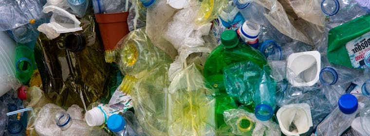 Crushed plastic bottles for recycling