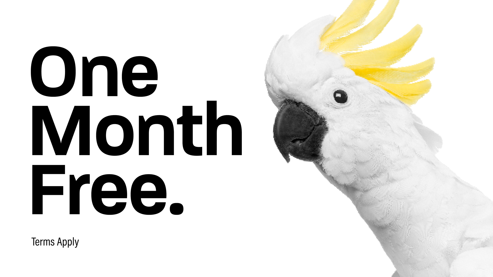 First Month Free